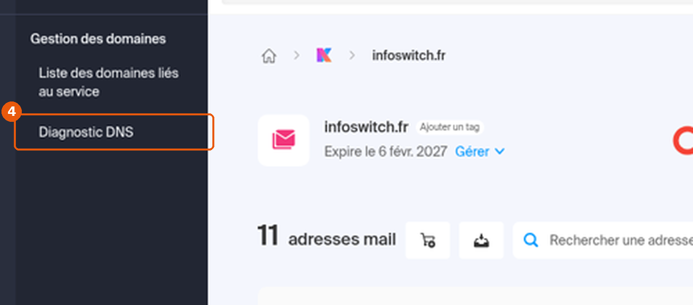 Menu Gestion des domaines déployé, entrée Diagnostic DNS encadrée