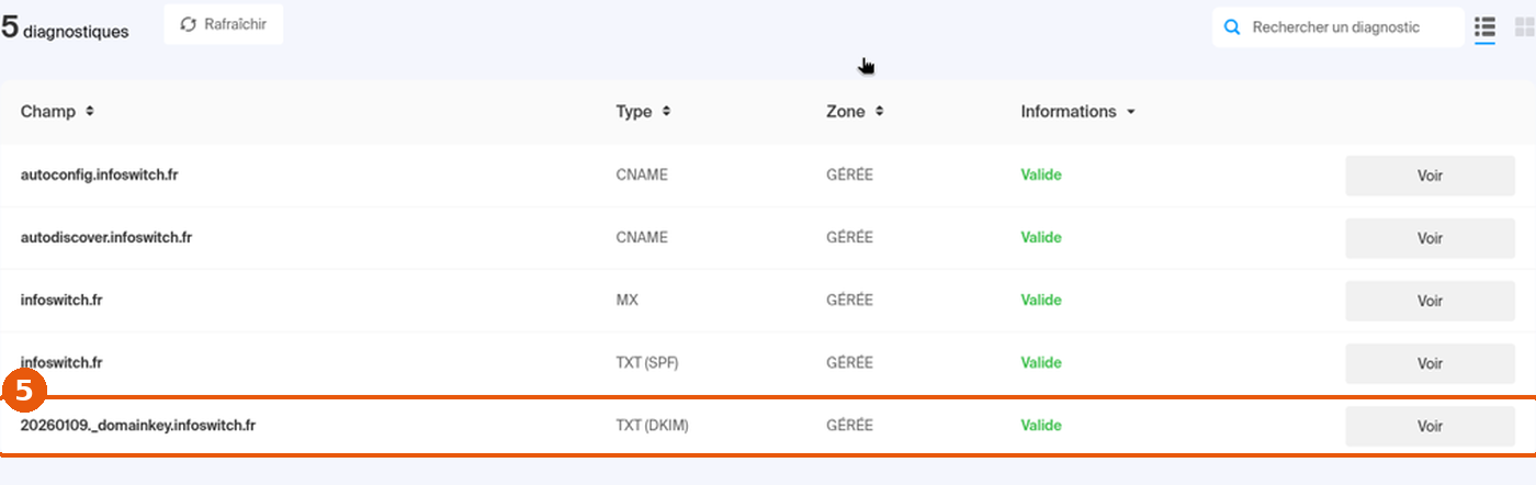 Diagnostic DNS : ligne _domainkey TXT (DKIM), zone GÉRÉE, encadrée