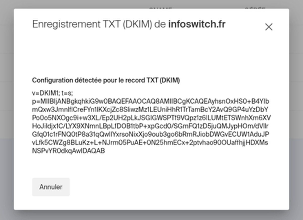 Dialogue Enregistrement TXT (DKIM) : configuration détectée et valeur v=DKIM1