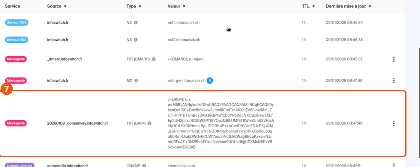 Zone DNS du domaine : ligne Messagerie TXT (DKIM) encadrée