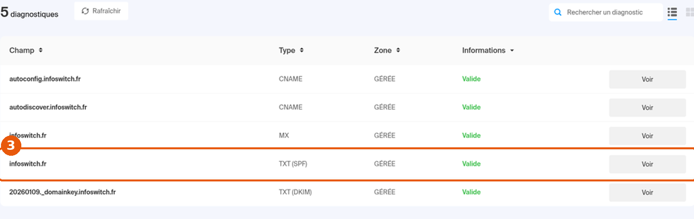 Diagnostic DNS : ligne TXT (SPF) du domaine, statut Valide, encadrée