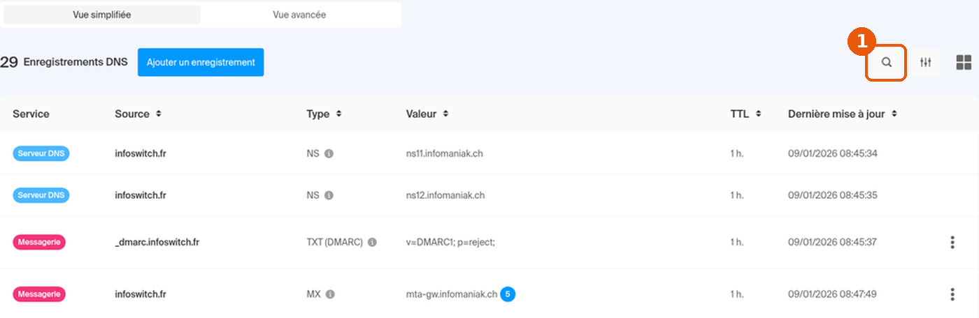 Zone DNS du domaine dans le Manager Infomaniak, icône loupe de recherche encadrée