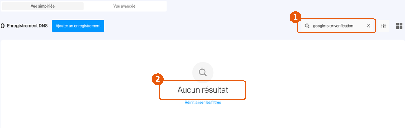 Recherche google-site-verification dans la zone DNS : champ de recherche et message Aucun résultat encadrés