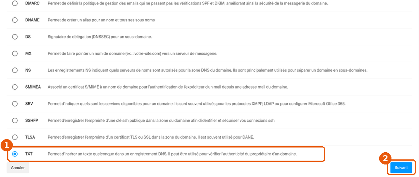 Choix du type d'enregistrement DNS : ligne TXT sélectionnée et bouton Suivant encadrés