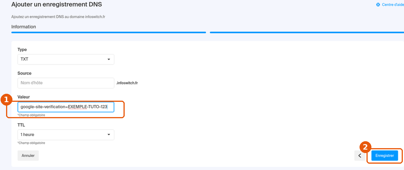 Formulaire TXT rempli avec une valeur d'exemple google-site-verification et bouton Enregistrer encadrés