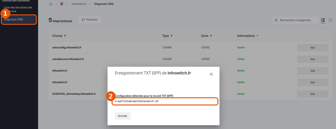 Diagnostic DNS avec la fenêtre Enregistrement TXT (SPF) et la configuration détectée