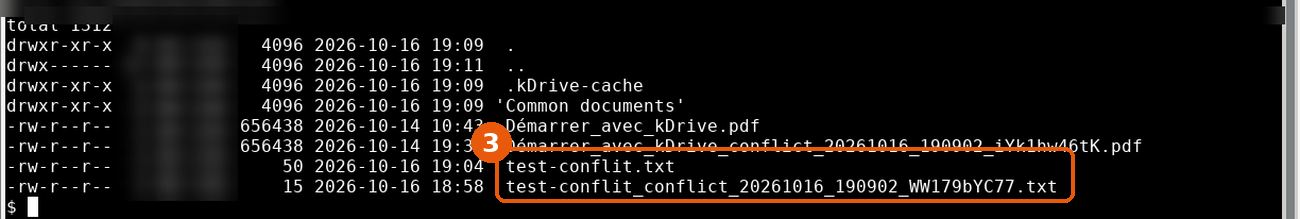 Liste du dossier kDrive local : test-conflit.txt et test-conflit_conflict_20261016_190902_WW179bYC77.txt encadrés
