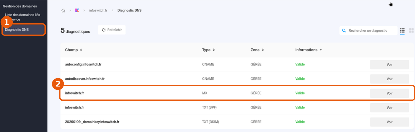 Diagnostic DNS du Manager avec la ligne MX marquée Valide et son bouton Voir