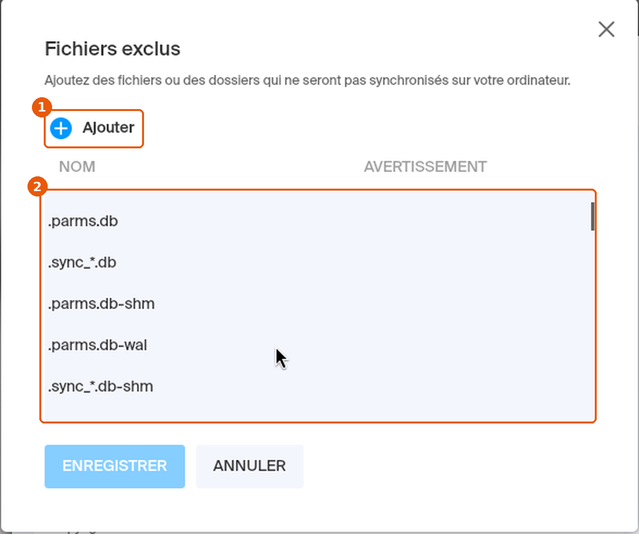 Fenêtre Fichiers exclus : bouton Ajouter et liste des fichiers exclus par défaut encadrés