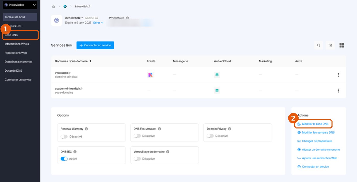 Tableau de bord du domaine avec Zone DNS et Modifier la zone DNS encadrés