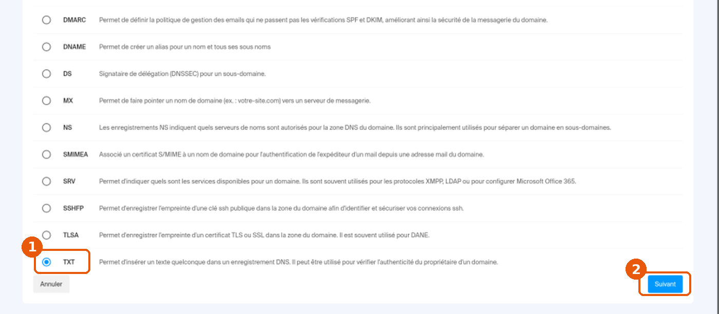 Liste des types d'enregistrement DNS avec TXT sélectionné et le bouton Suivant