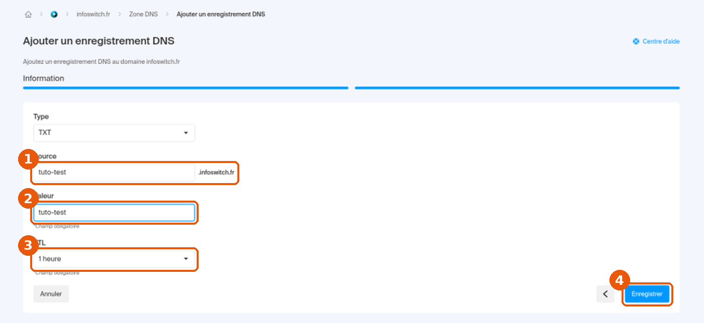 Formulaire avec Type TXT, Source, Valeur, TTL 1 heure et bouton Enregistrer encadrés