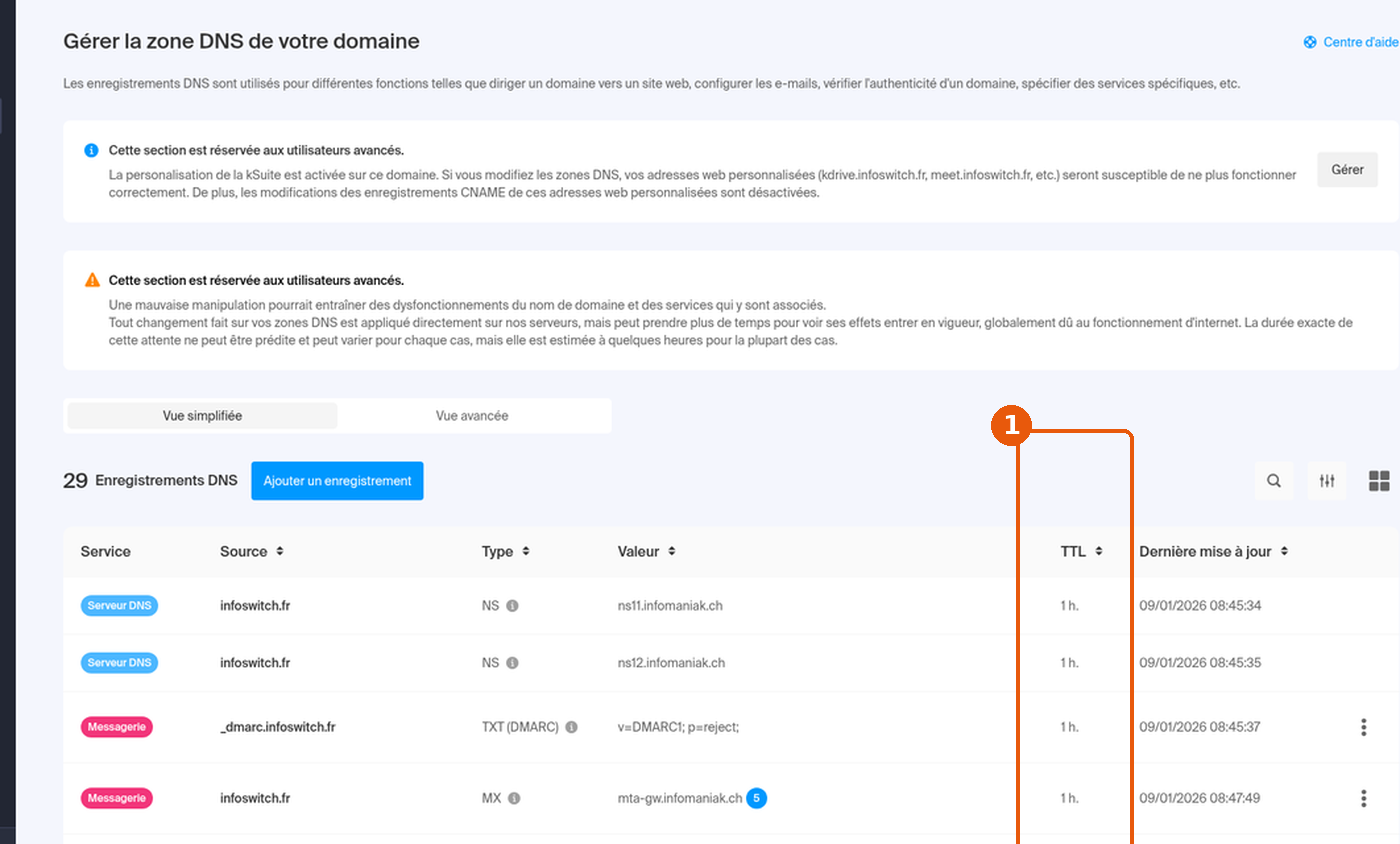 Zone DNS du domaine dans le Manager Infomaniak : colonne TTL encadrée, valeurs 1 h.