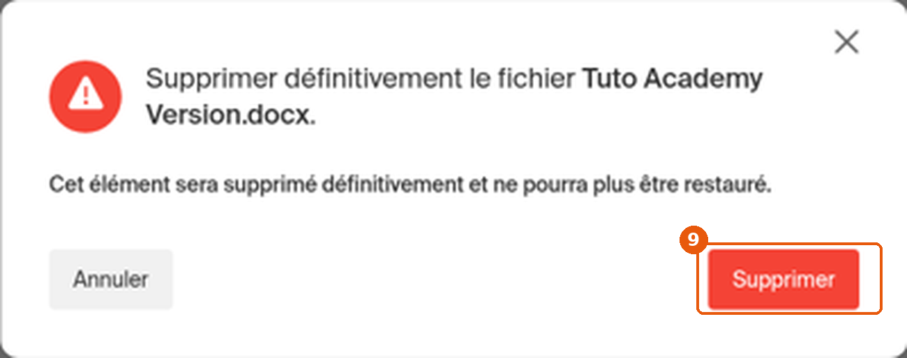 Fenêtre Supprimer définitivement avec le bouton Supprimer encadré