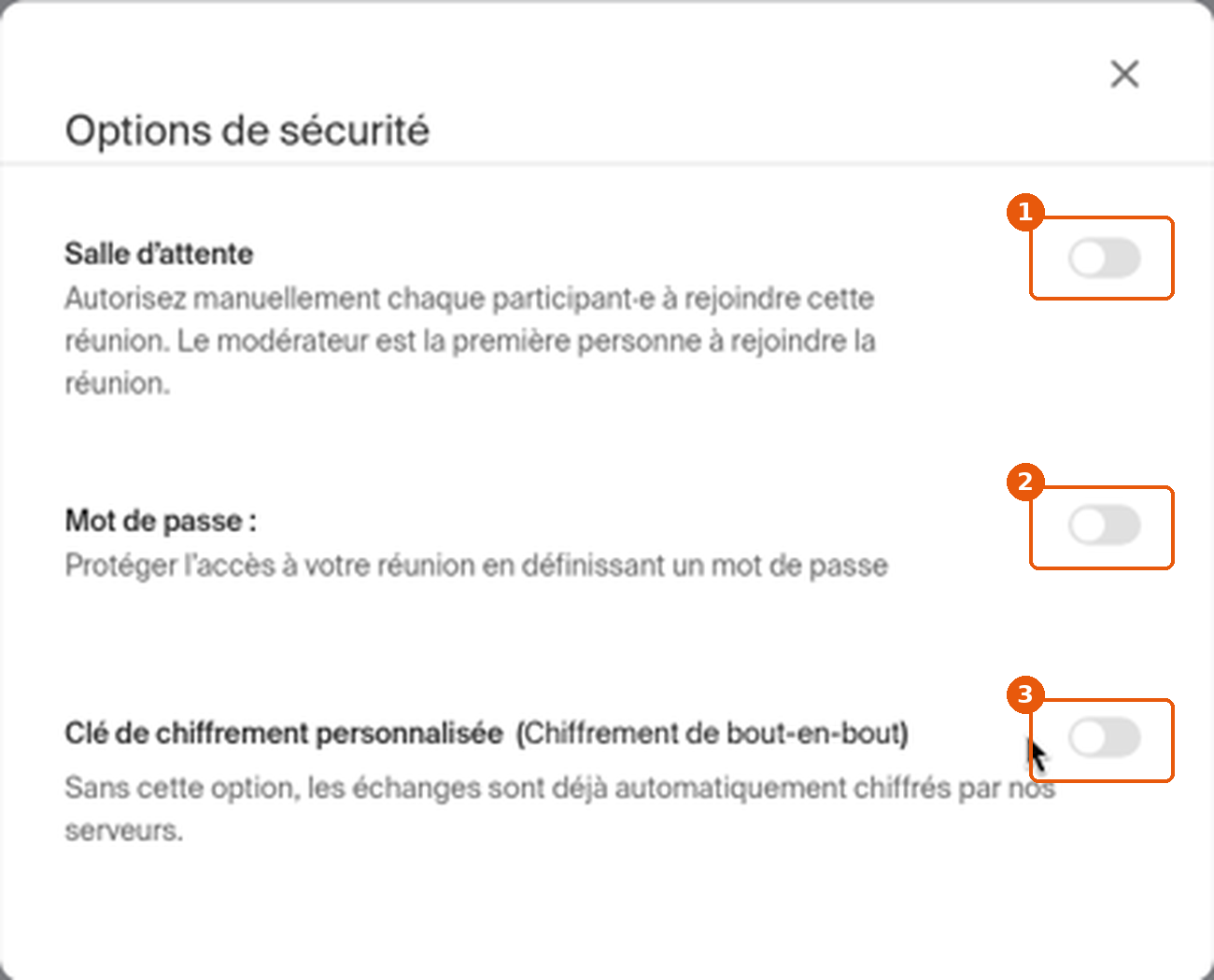 Fenêtre Options de sécurité avec les bascules Salle d'attente, Mot de passe et Clé de chiffrement encadrées