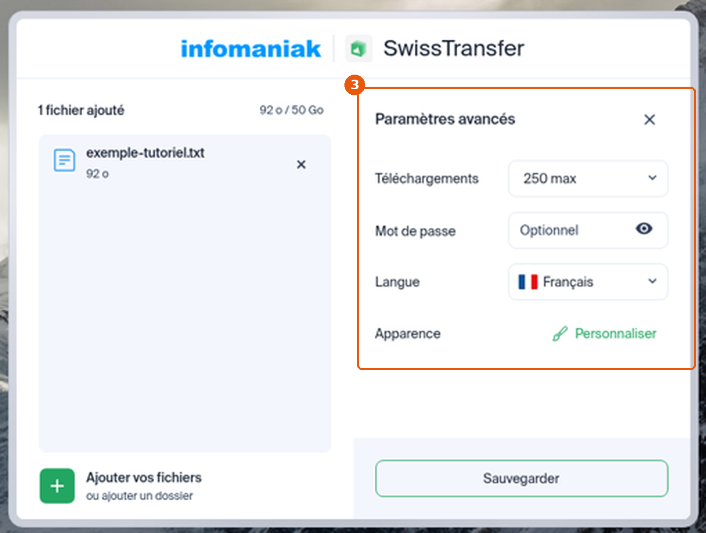 Panneau Paramètres avancés avec Téléchargements, Mot de passe, Langue et Apparence